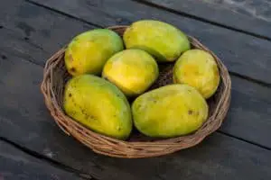 Wie viel Fructose enthält die Mango?
