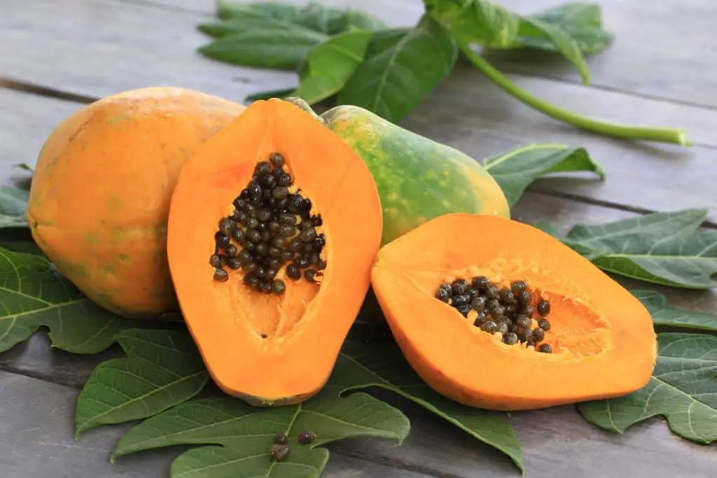 Wie viel Fructose enthält eine Papaya?